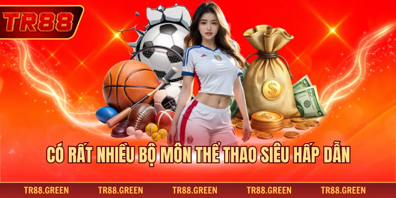 Có rất nhiều bộ môn thể thao siêu hấp dẫn