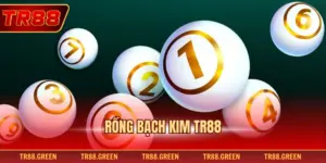 Rồng Bạch Kim Tr88 – Bí Quyết Chốt Số Cực Chuẩn Cho Bạn